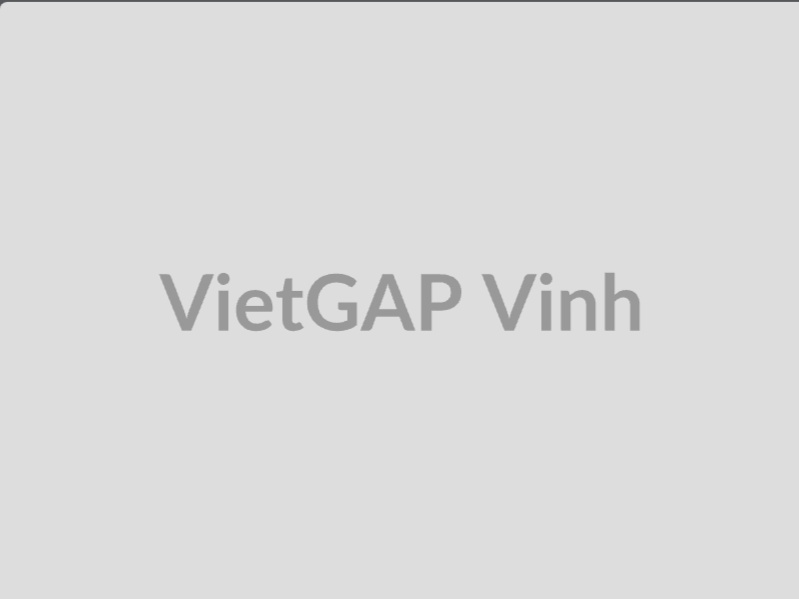 Bản đồ cửa hàng